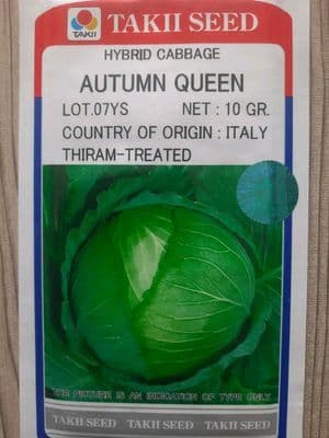 হাইব্রিড বাঁধাকপি বীজ এটম কুইন । F1 Hybrid Cabbage Seed Autumn Queen